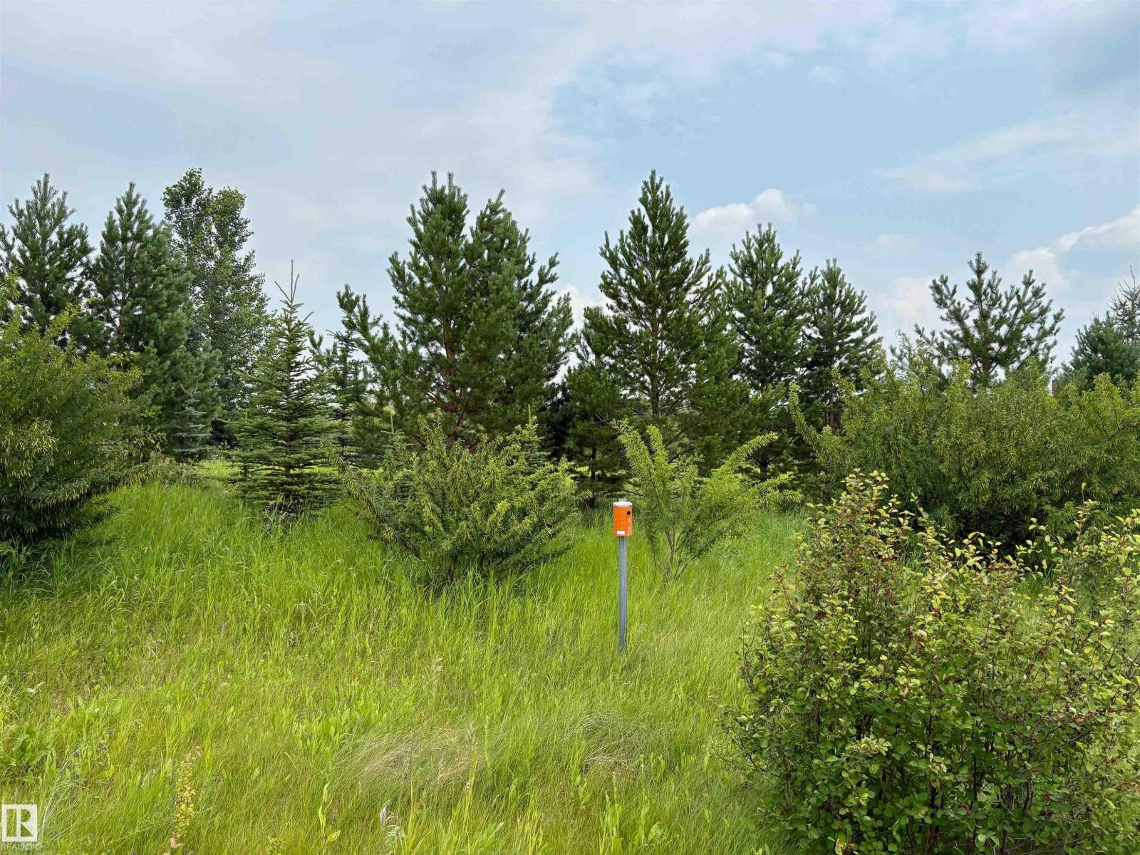 118 56512 Rng Rd 111, Rural St. Paul County, Alberta  T0A 3A0 - Photo 3 - E4500364