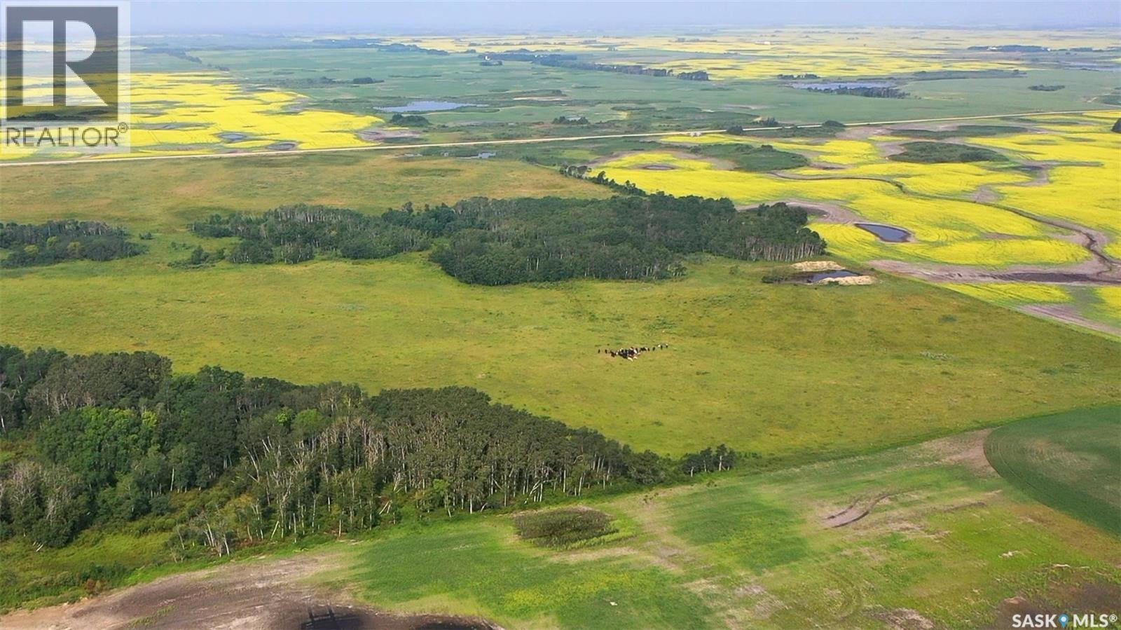 Norberg Pastures, Saltcoats Rm No. 213, Saskatchewan  S0A 3R0 - Photo 54 - SK043488