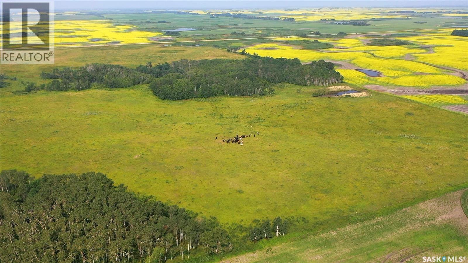 Norberg Pastures, Saltcoats Rm No. 213, Saskatchewan  S0A 3R0 - Photo 55 - SK043488