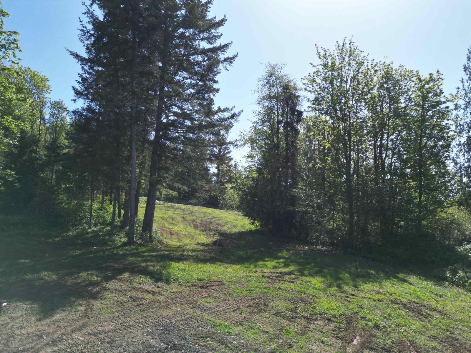 44087 Malcolm Road, Mission, British Columbia V0M 1N0 - Photo 19 - R3148178