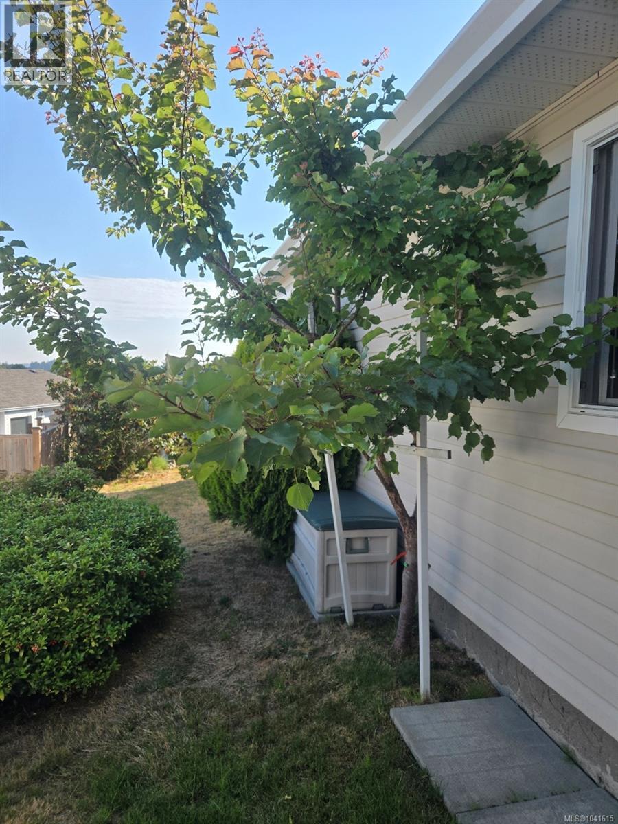 Listing image 24