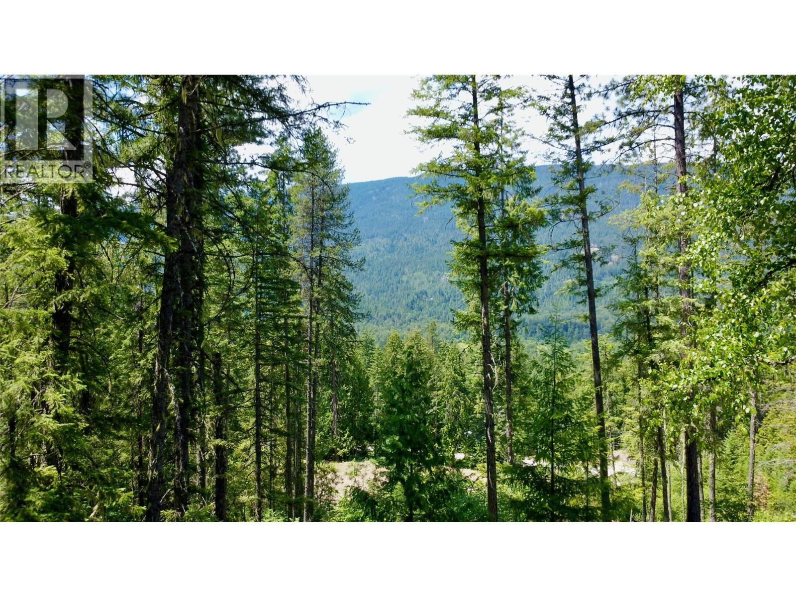 7498 Highway 6, Winlaw, British Columbia V0G 2J0 - Photo 8 - 10395553