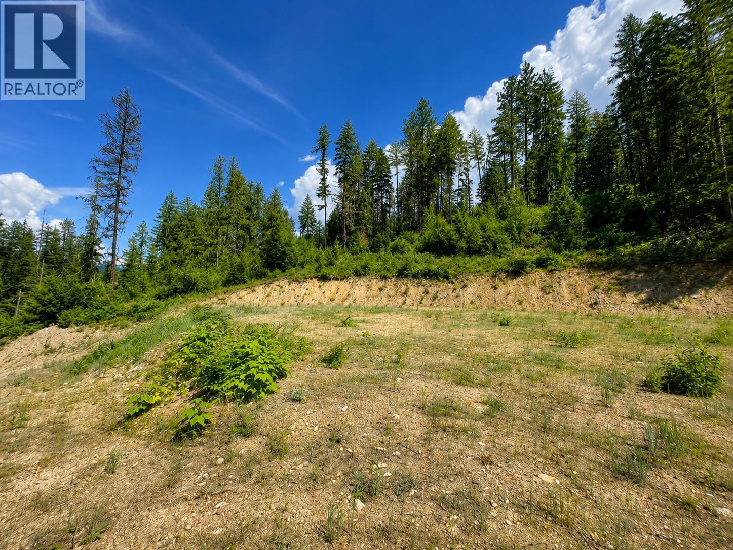 7498 Highway 6, Winlaw, British Columbia V0G 2J0 - Photo 3 - 10395553