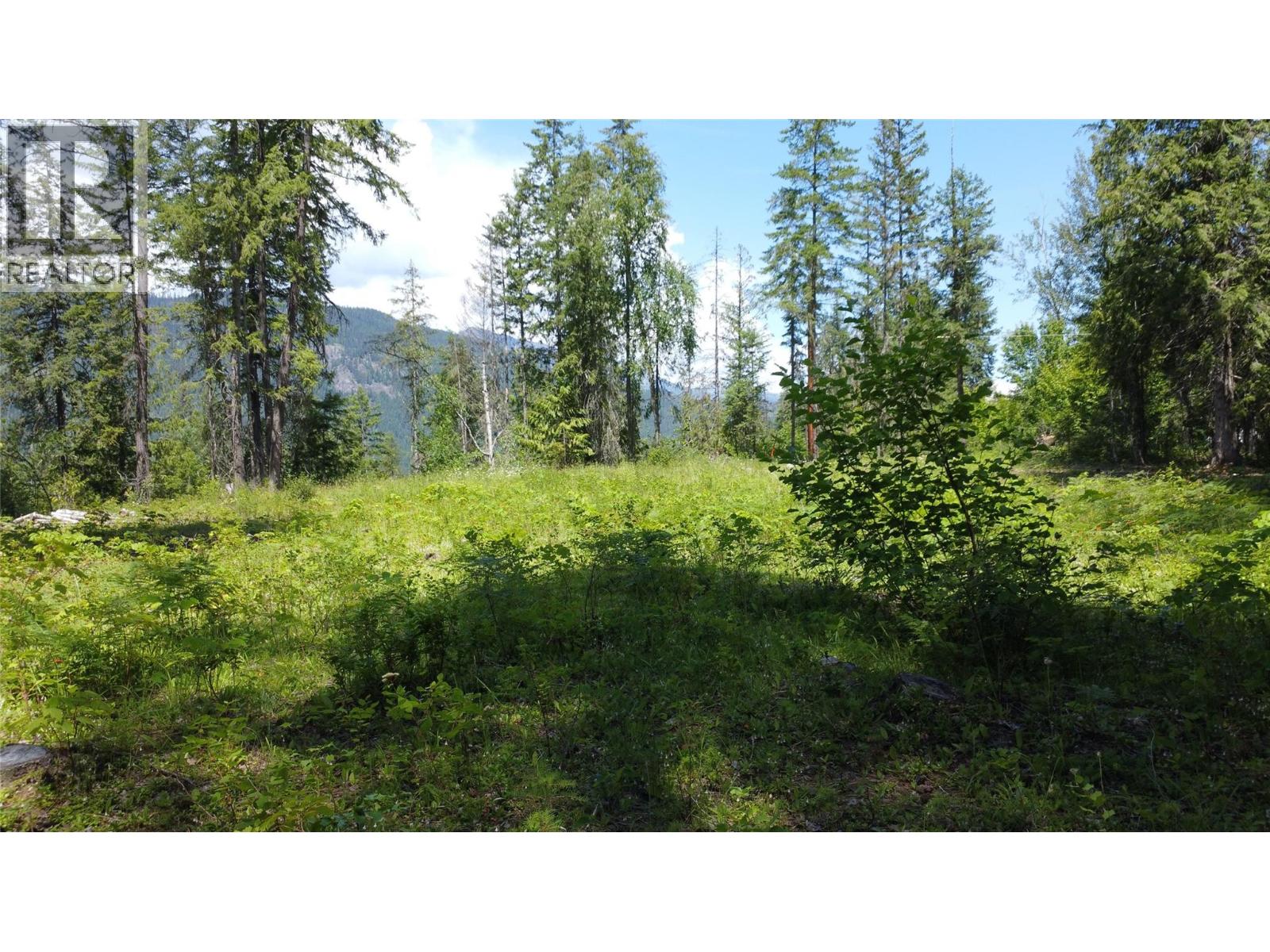 7498 Highway 6, Winlaw, British Columbia V0G 2J0 - Photo 6 - 10395553
