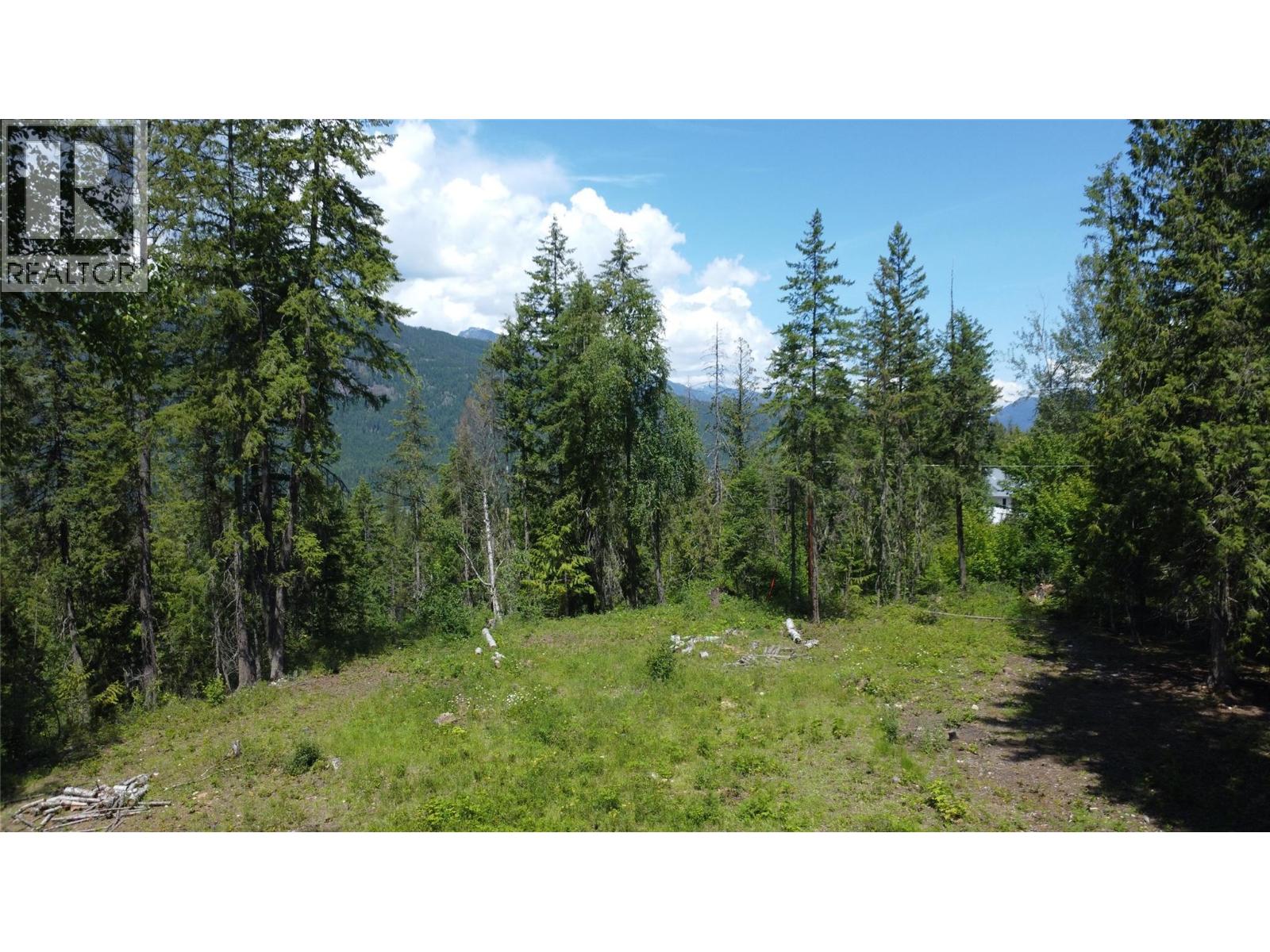 7498 Highway 6, Winlaw, British Columbia V0G 2J0 - Photo 7 - 10395553