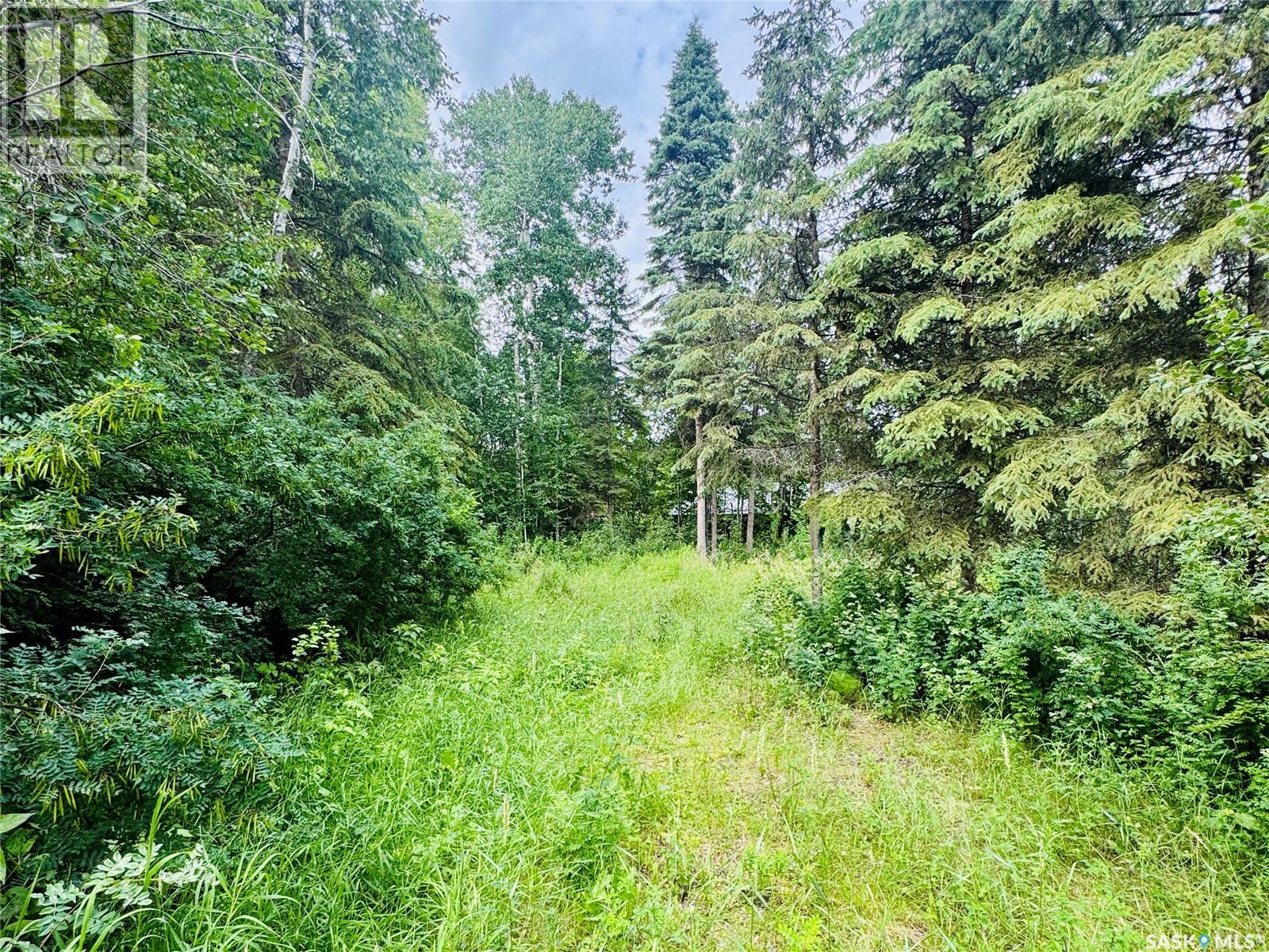 Sk 264 Carwin Park Drive, Emma Lake, Saskatchewan  S0J 0N0 - Photo 3 - SK043543