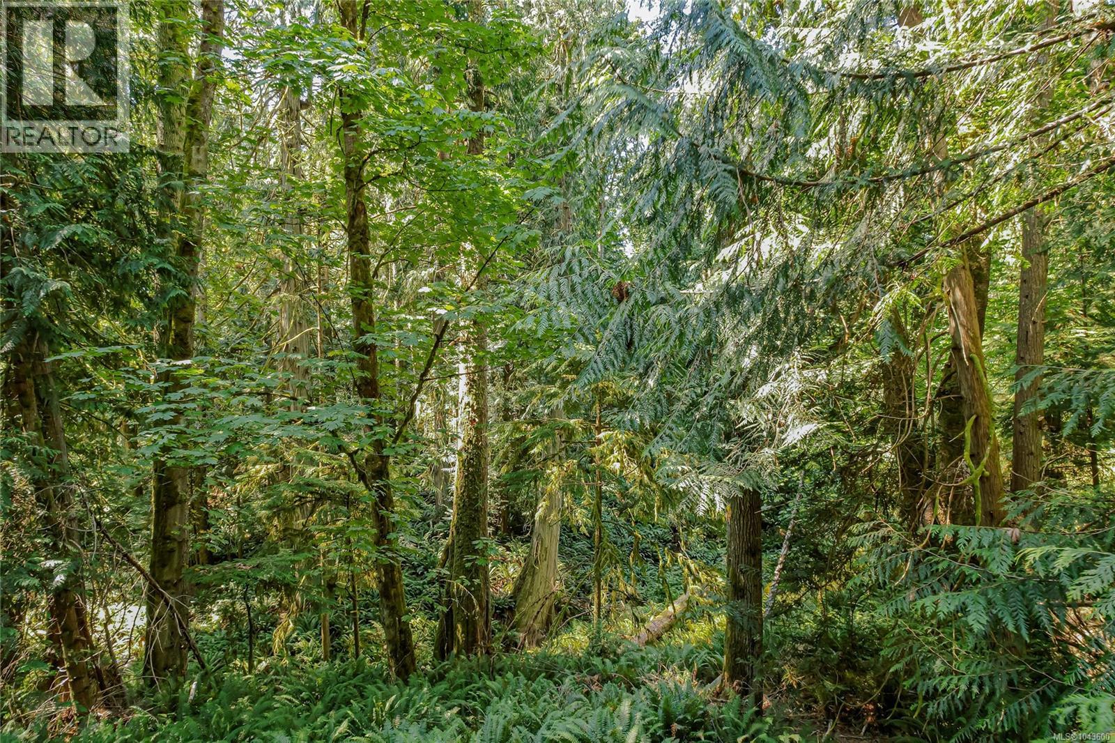 215 Long Harbour Rd, Salt Spring, British Columbia  V8K 2K9 - Photo 18 - 1043600