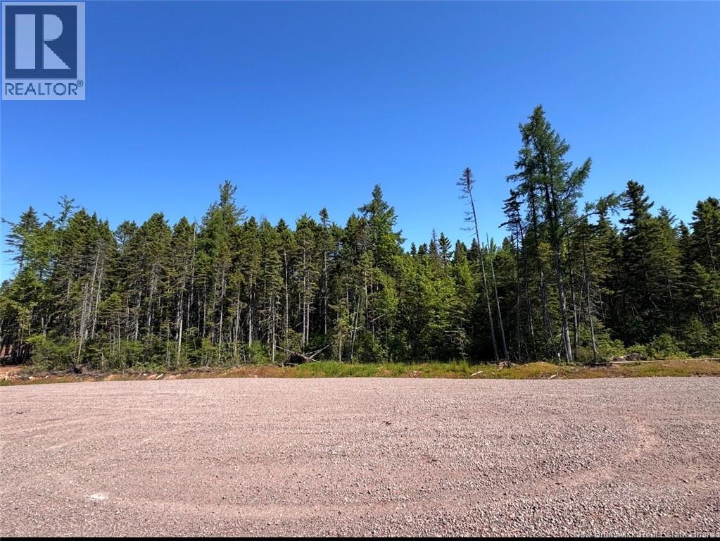 Lot 26-09 Des Batisseurs, Dieppe, New Brunswick  E1H 0C2 - Photo 15 - NB144619