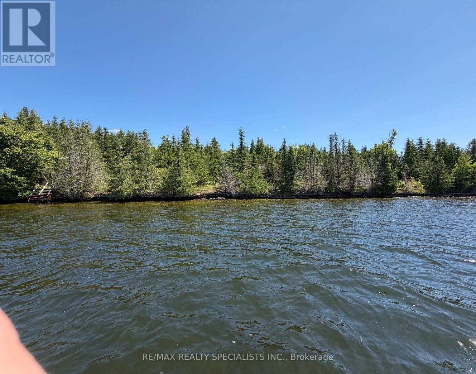 575 Grand Island, Kawartha Lakes, Ontario  K0M 1K0 - Photo 4 - X13586412