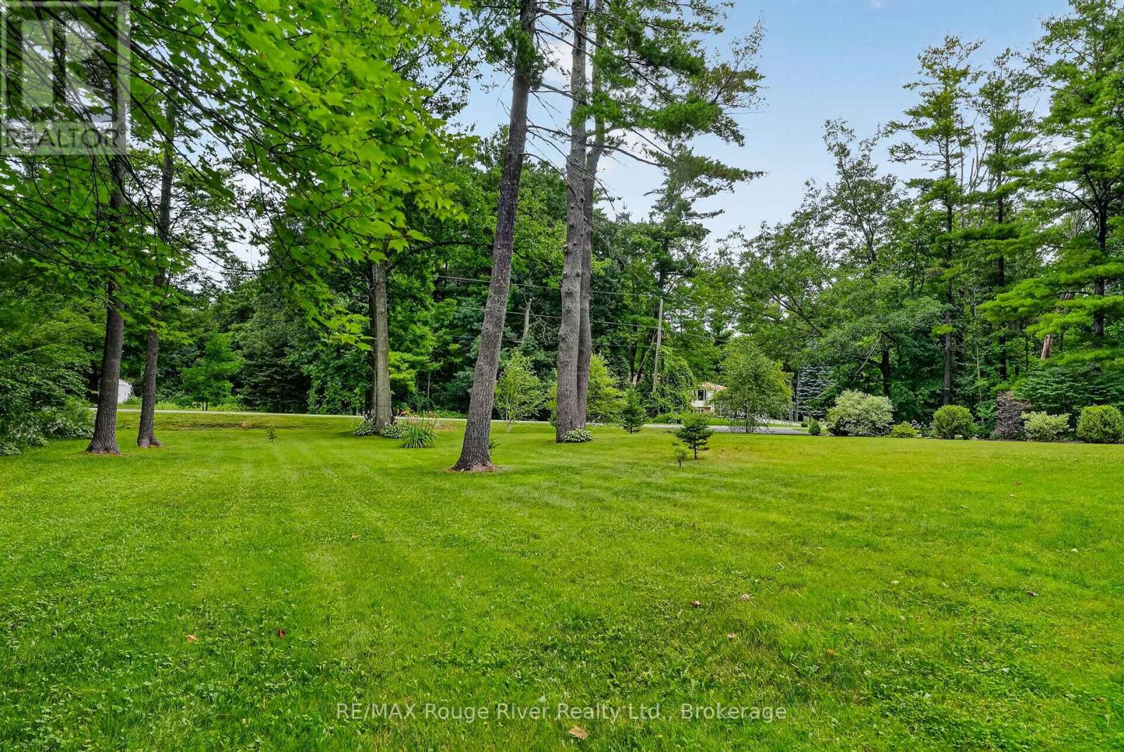 221 Colonial Drive, Quinte West, Ontario  K8V 5P4 - Photo 6 - X13601050