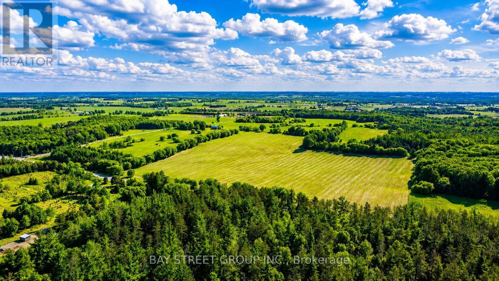 17365 Hwy 48, Whitchurch-Stouffville, Ontario  L0G 1M0 - Photo 5 - N13601056