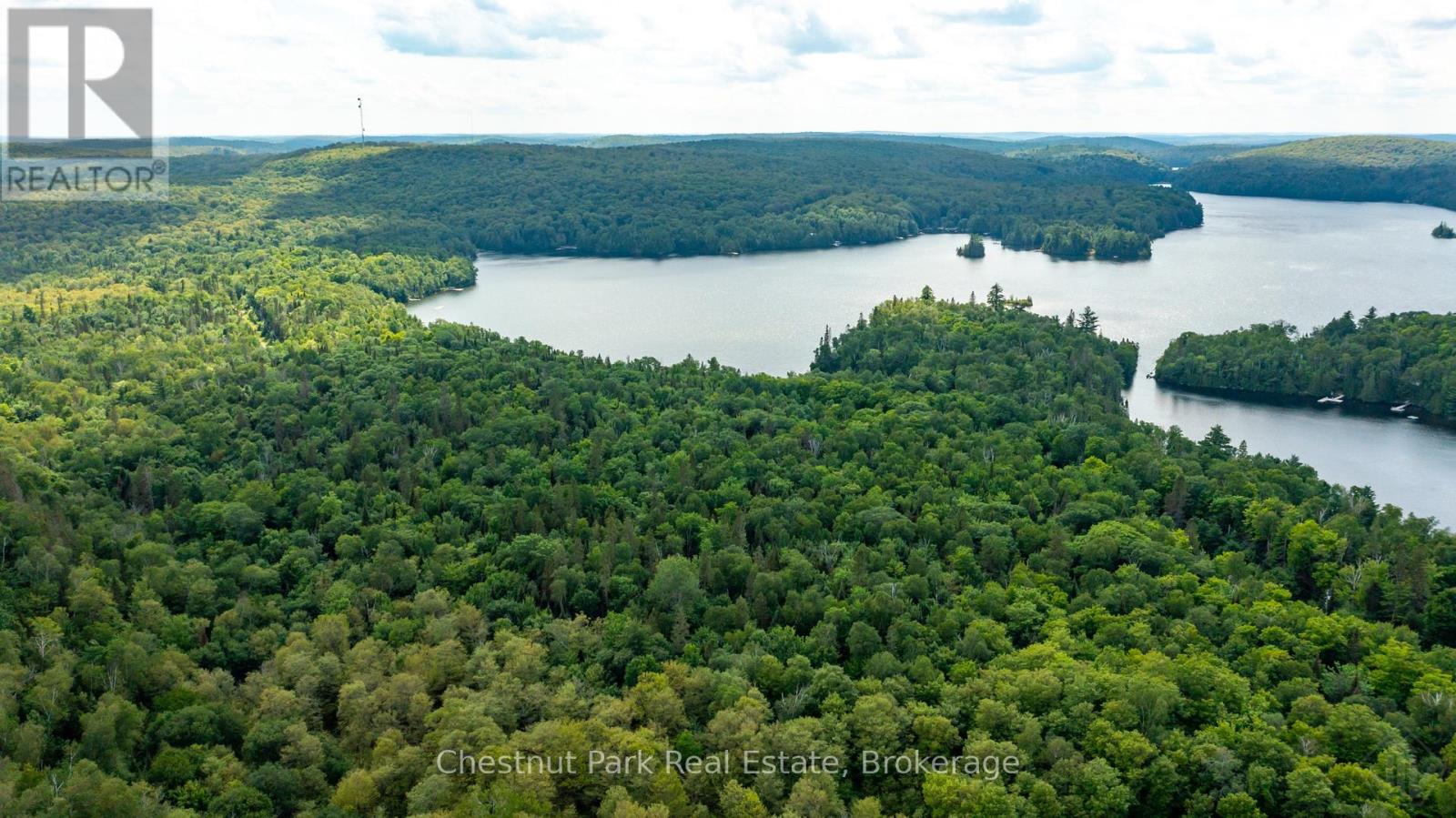 Pt 1 Grass Lake Road, Kearney, Ontario  P0A 1M0 - Photo 13 - X13601132
