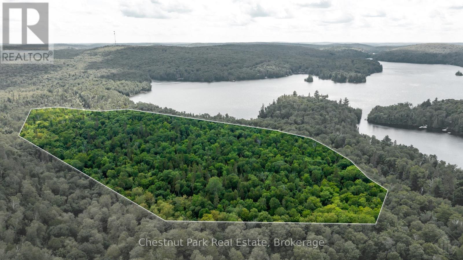 Pt 1 Grass Lake Road, Kearney, Ontario  P0A 1M0 - Photo 4 - X13601132