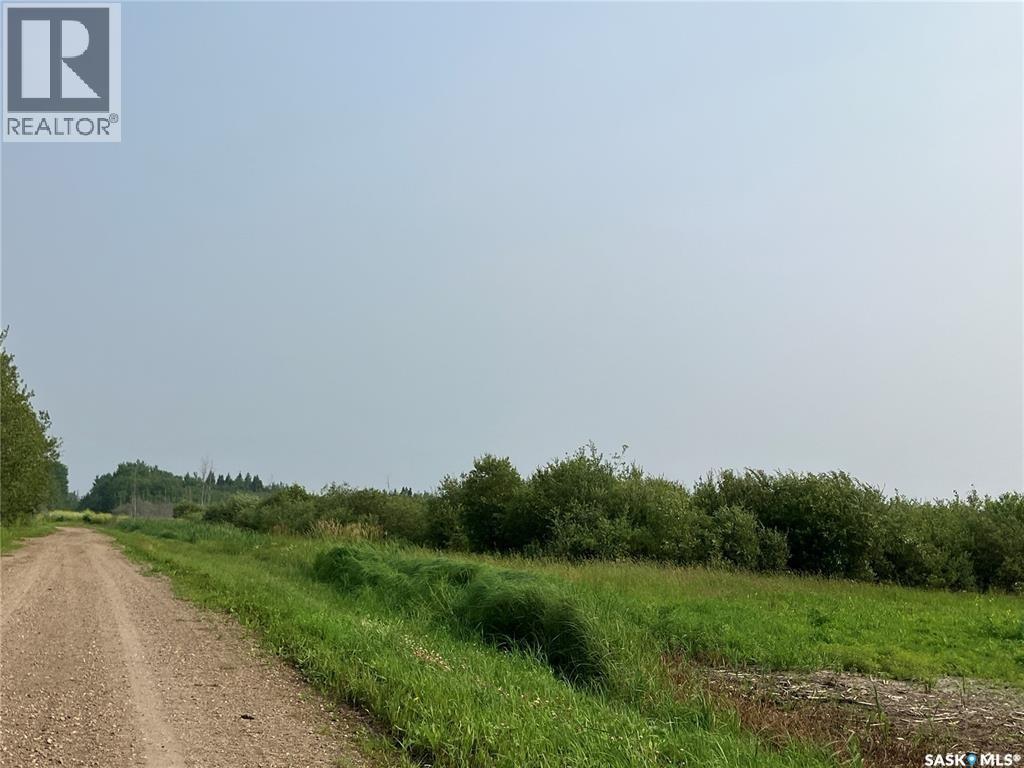 Recreational Quarter Of Land N-E Of White Fox, Torch River Rm No. 488, Saskatchewan  S0J 3B0 - Photo 6 - SK043459