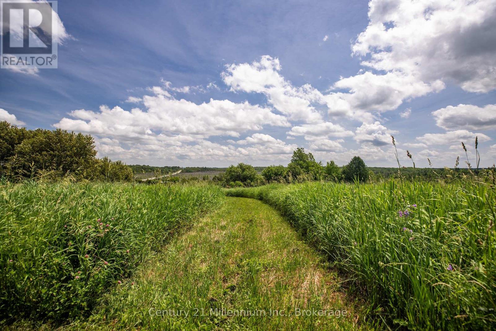 775678 Highway 10, Chatsworth, Ontario  N0C 1H0 - Photo 30 - X13062948