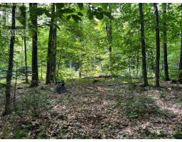 99 FOREST VIEW ROAD, Bancroft, Ontario