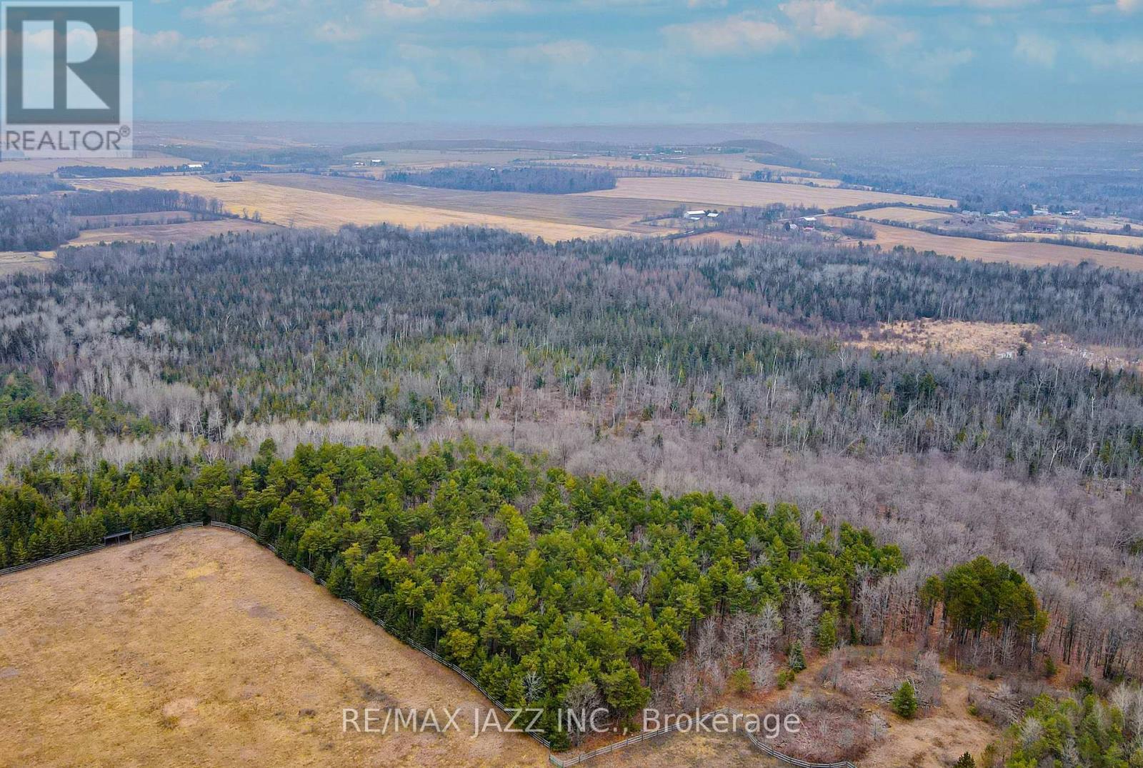 0 Ballyduff Road, Kawartha Lakes, Ontario  L0A 1K0 - Photo 13 - X13601902