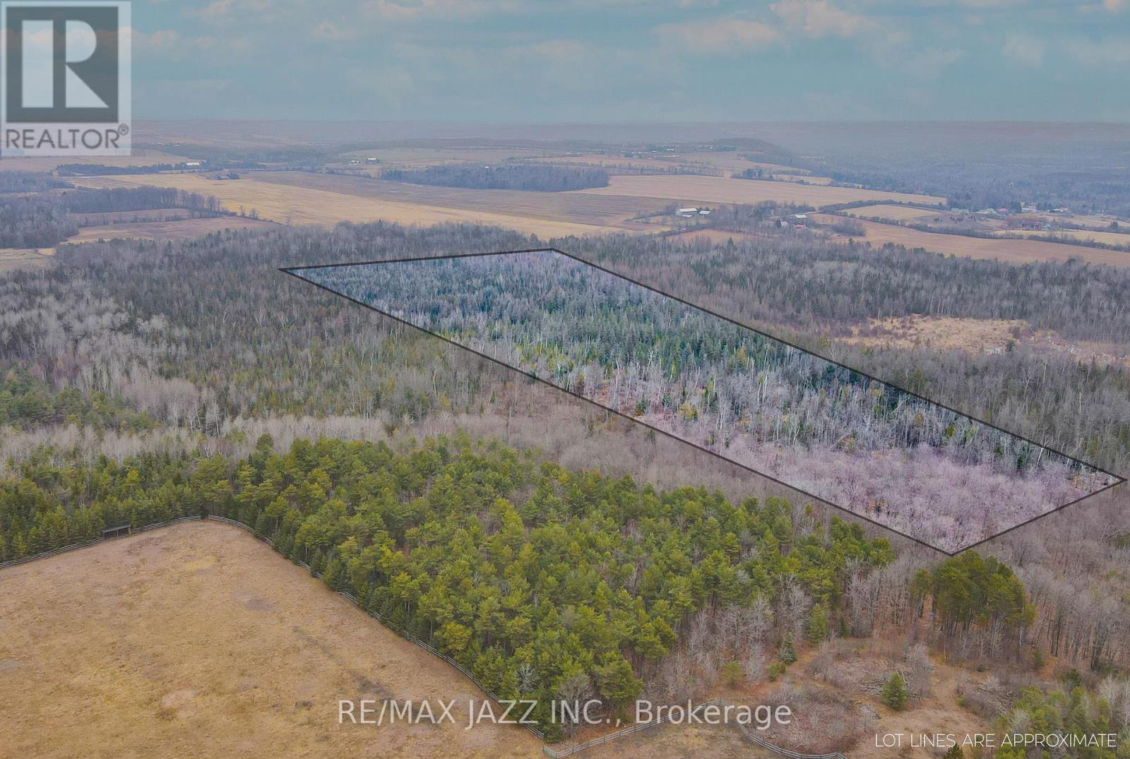 0 Ballyduff Road, Kawartha Lakes, Ontario  L0A 1K0 - Photo 14 - X13601902