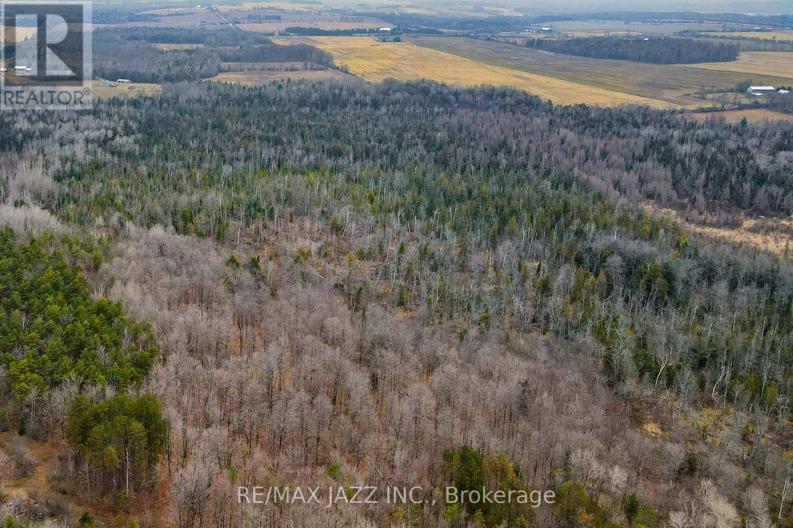 0 Ballyduff Road, Kawartha Lakes, Ontario  L0A 1K0 - Photo 15 - X13601902