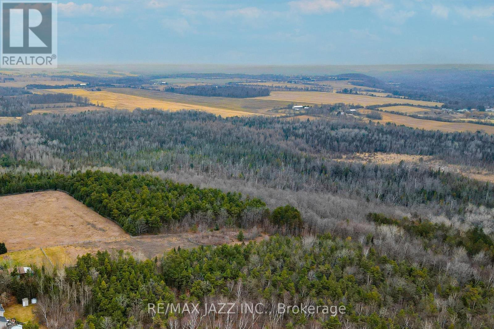 0 Ballyduff Road, Kawartha Lakes, Ontario  L0A 1K0 - Photo 17 - X13601902