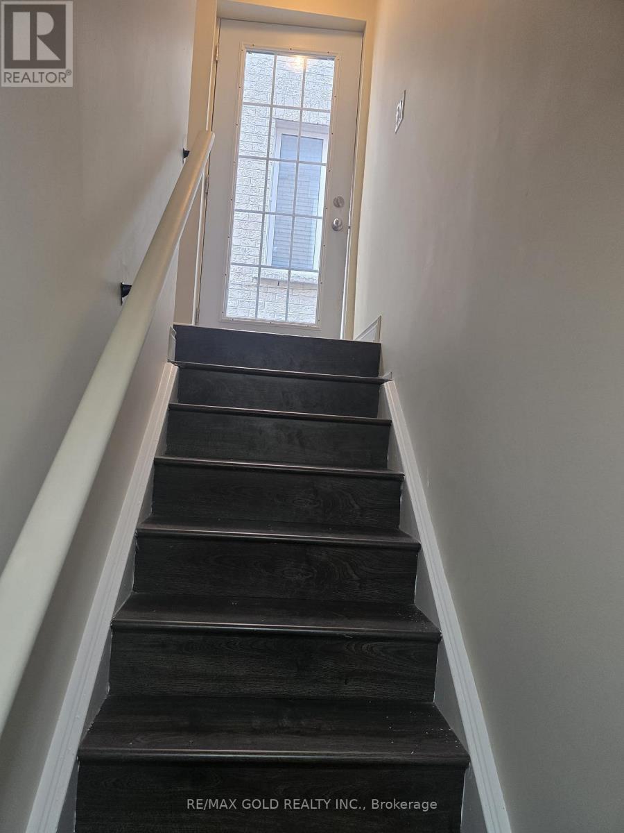 BSMT - 35 DOLOBRAM TRAIL, Brampton, Ontario