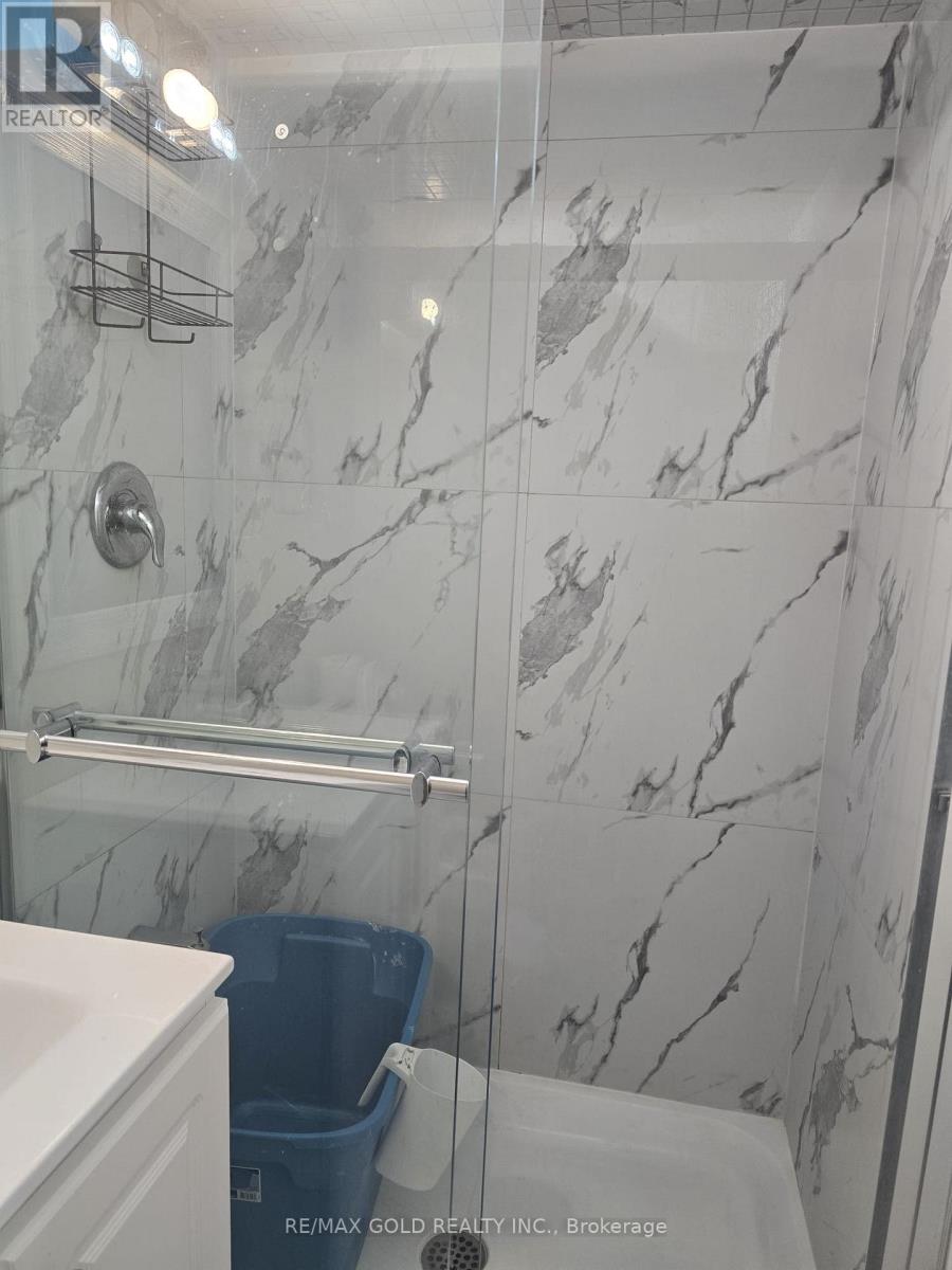 Bsmt - 35 Dolobram Trail, Brampton, Ontario  L7A 4Y3 - Photo 11 - W13601846