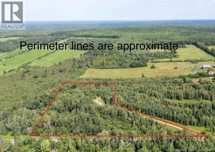 Lot Route 880, Lewis Mountain, New Brunswick  E4J 3N1 - Photo 4 - NB144607