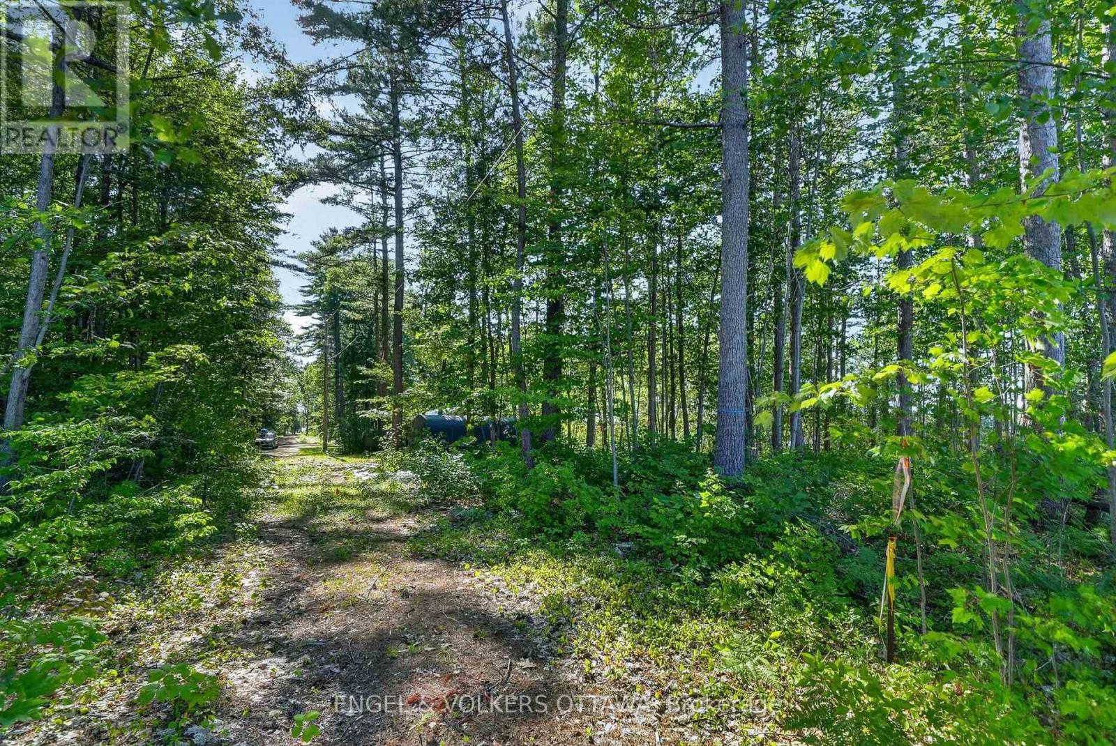 2221a Gratton Trail, Whitewater Region, Ontario  K0J 2L0 - Photo 6 - X13601920