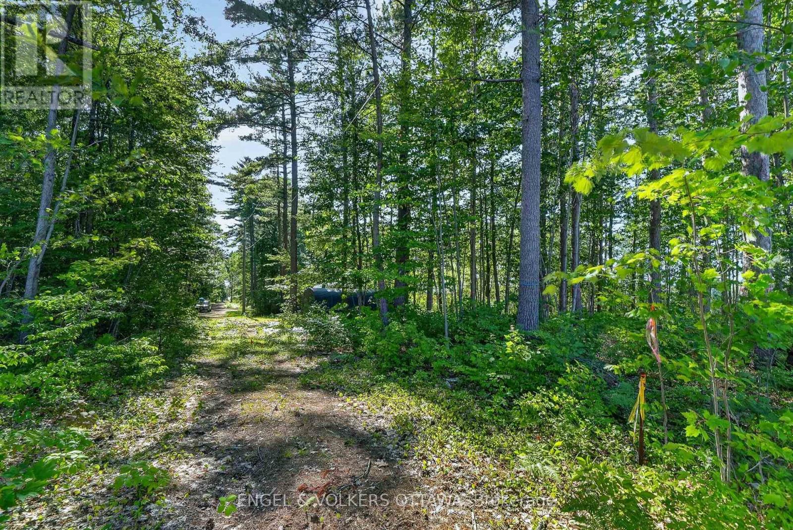 2221a Gratton Trail, Whitewater Region, Ontario  K0J 2L0 - Photo 7 - X13601920