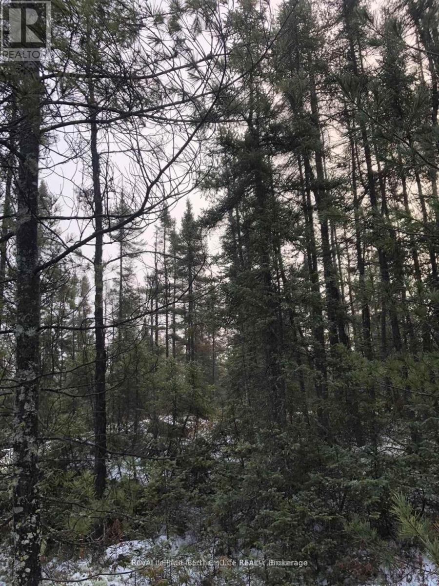 Con 3 Pt Lot 25, Coleman, Ontario  P0J 1C0 - Photo 7 - T13602000