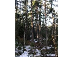 CON 3 PT LOT 25, Coleman, Ontario