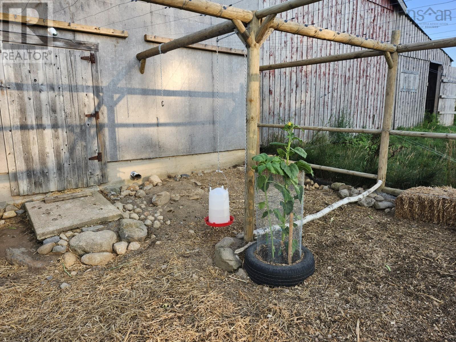 picture 35