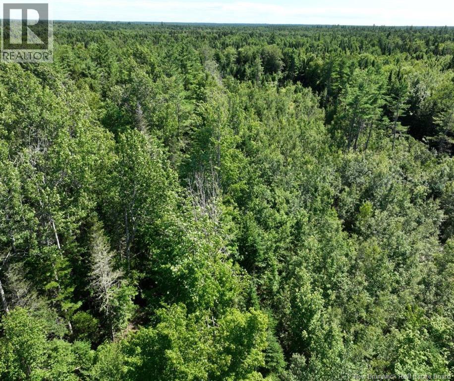 37.8 Hec Bettsburg Road, Bettsburg, New Brunswick E9C 1L1 - Photo 19 - NB144665