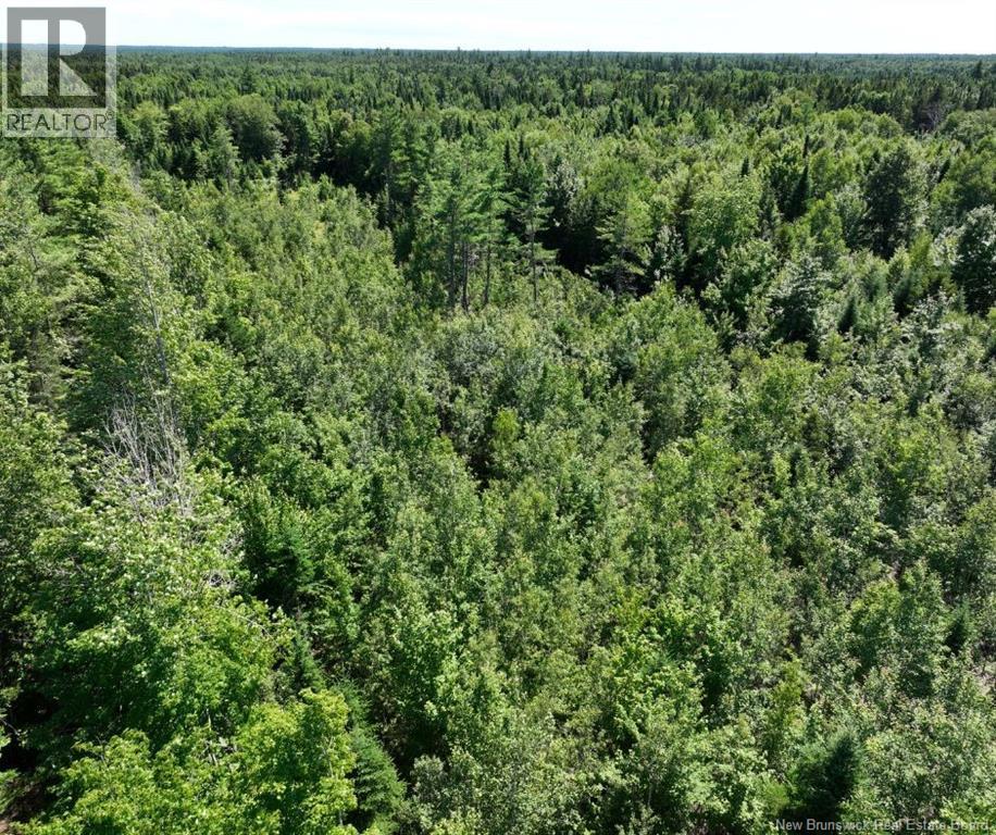 37.8 Hec Bettsburg Road, Bettsburg, New Brunswick E9C 1L1 - Photo 18 - NB144665