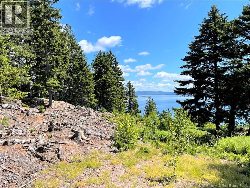 Lot 7 Kilmarnock Head, Chamcook, New Brunswick  E5B 0A9 - Photo 15 - NB144606