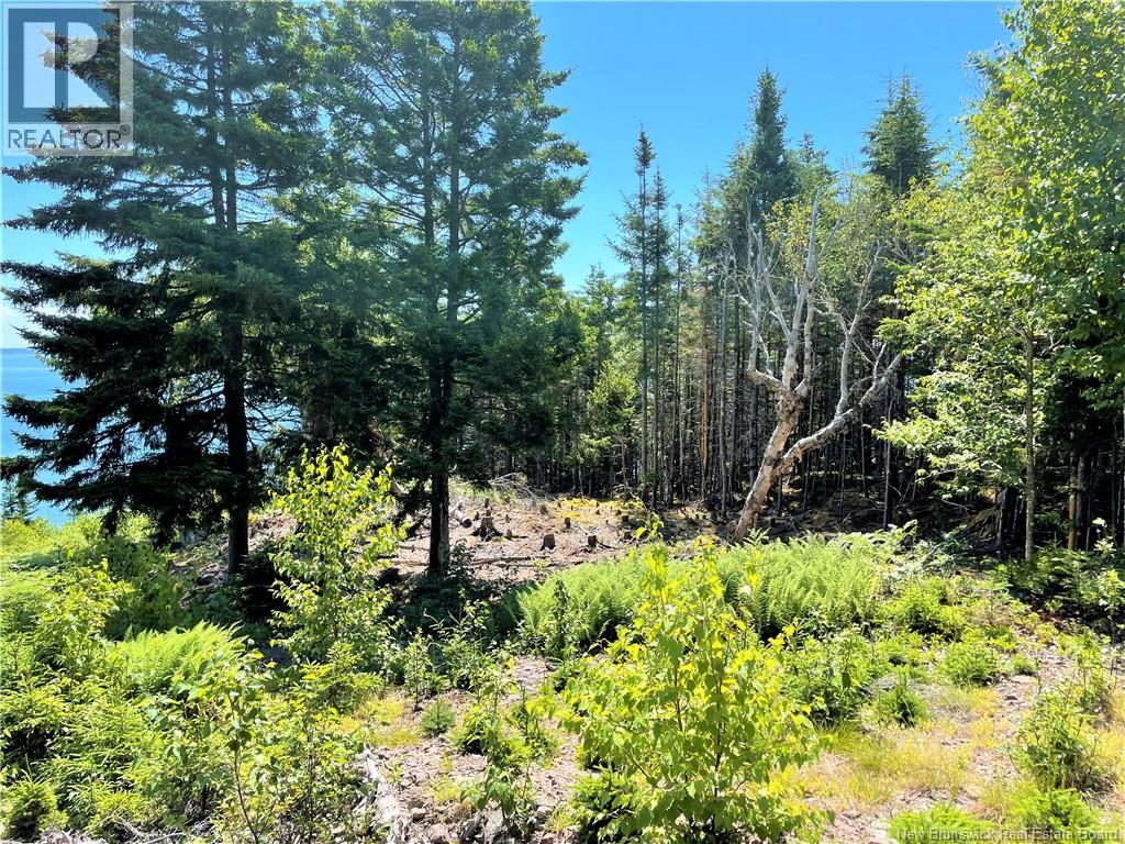 Lot 7 Kilmarnock Head, Chamcook, New Brunswick  E5B 0A9 - Photo 16 - NB144606