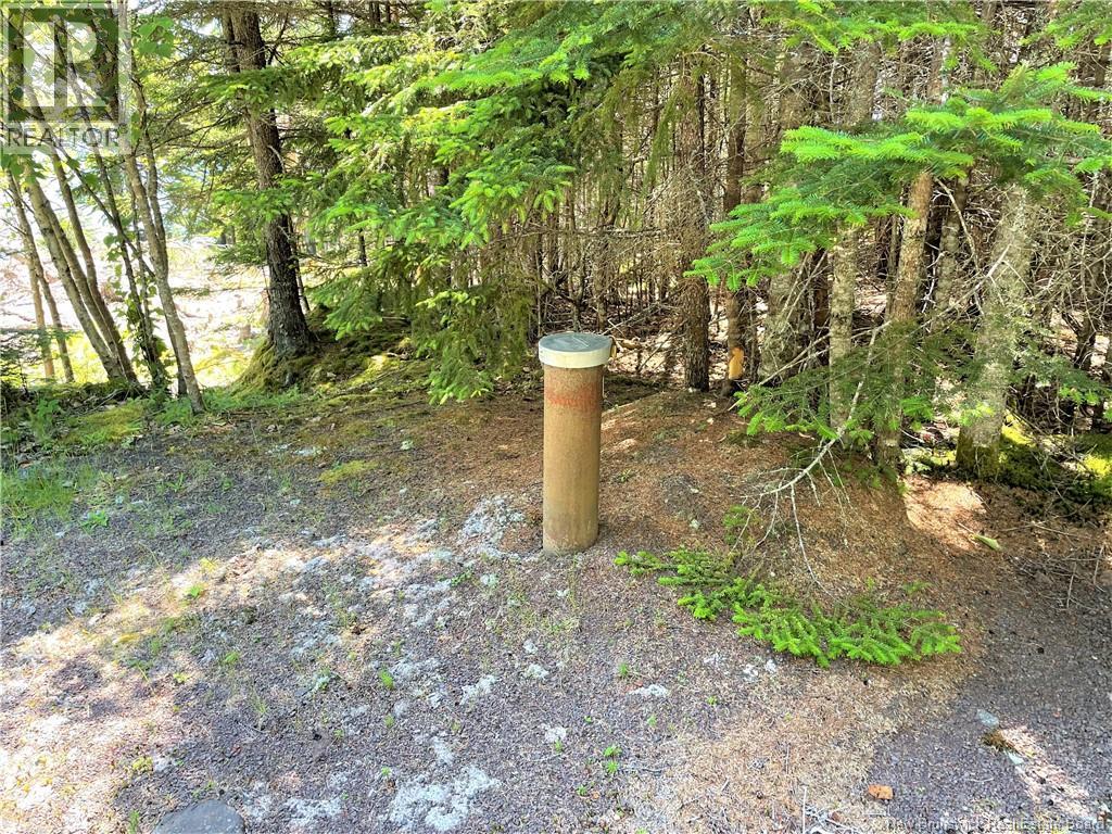Lot 7 Kilmarnock Head, Chamcook, New Brunswick  E5B 0A9 - Photo 23 - NB144606