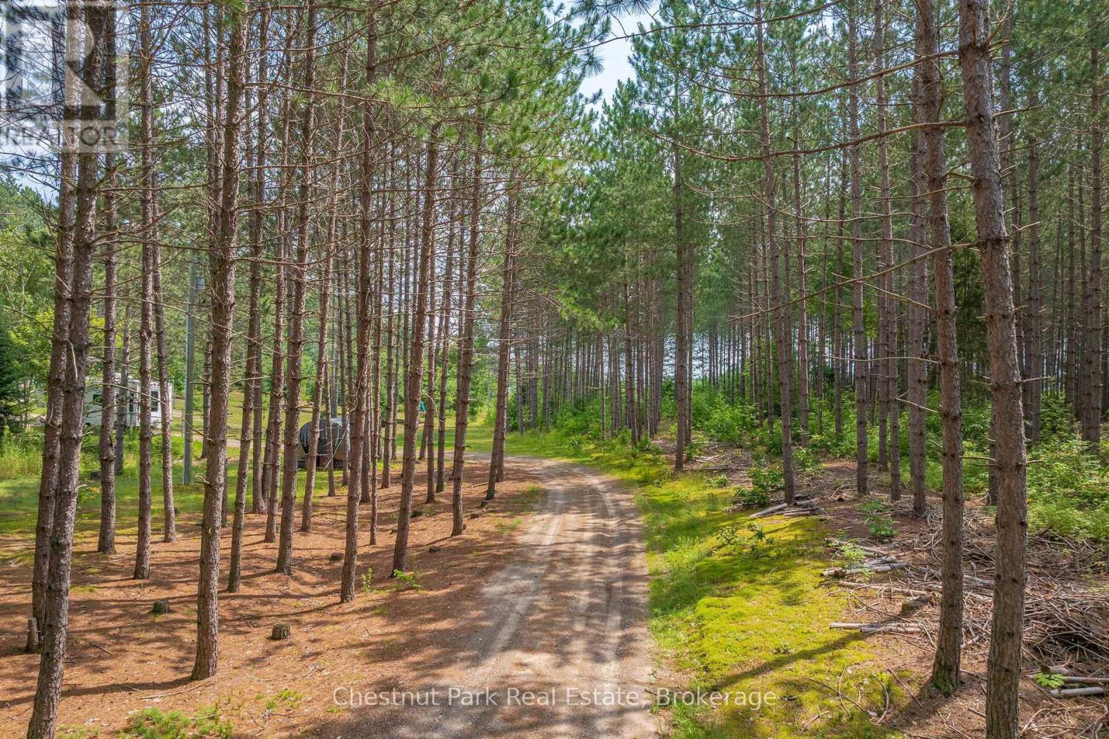 165 James Camp Road, Ryerson, Ontario  P0A 1C0 - Photo 45 - X13602904