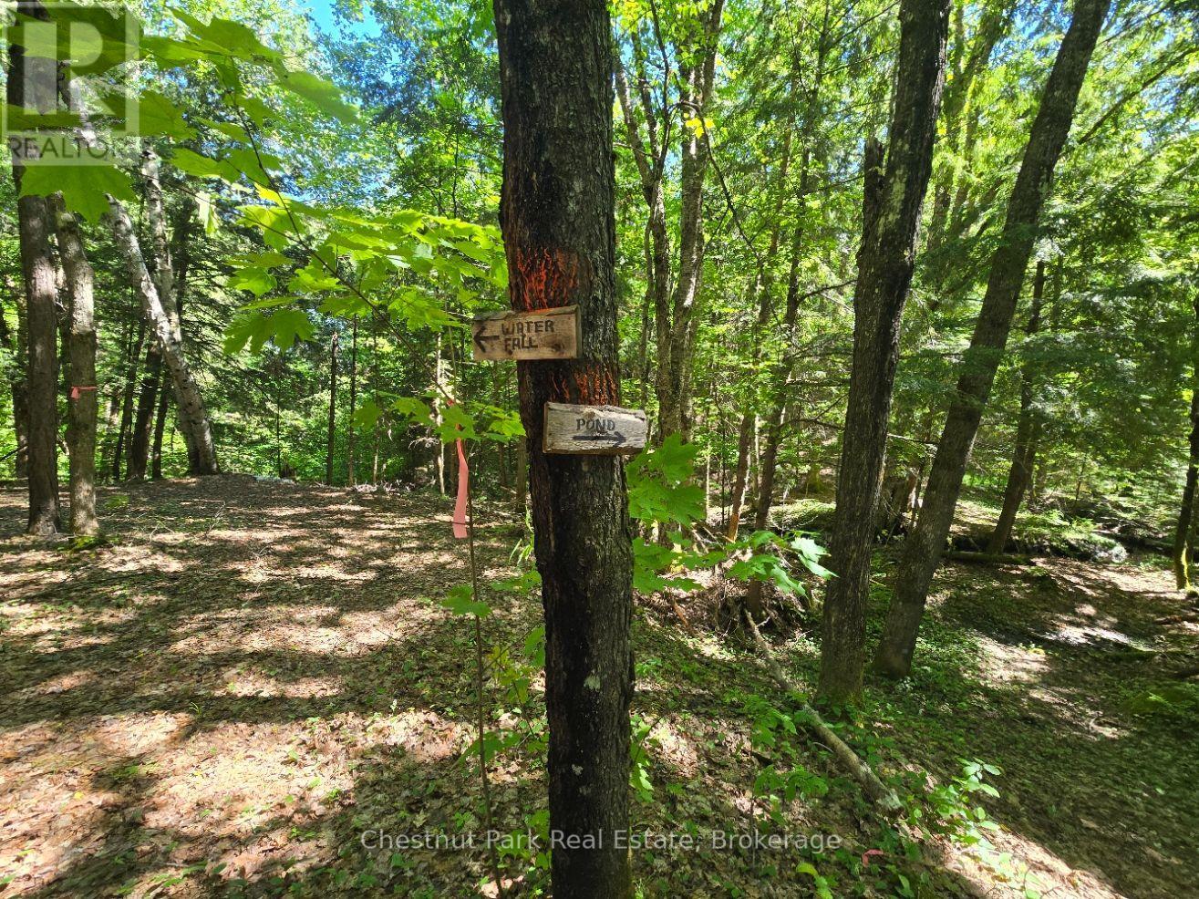 165 James Camp Road, Ryerson, Ontario  P0A 1C0 - Photo 49 - X13602904