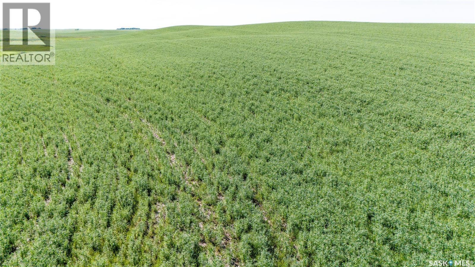 7 Quarters Grainland Near Coderre (Strieb), Sutton Rm No. 103, Saskatchewan  S0H 0A5 - Photo 10 - SK043546