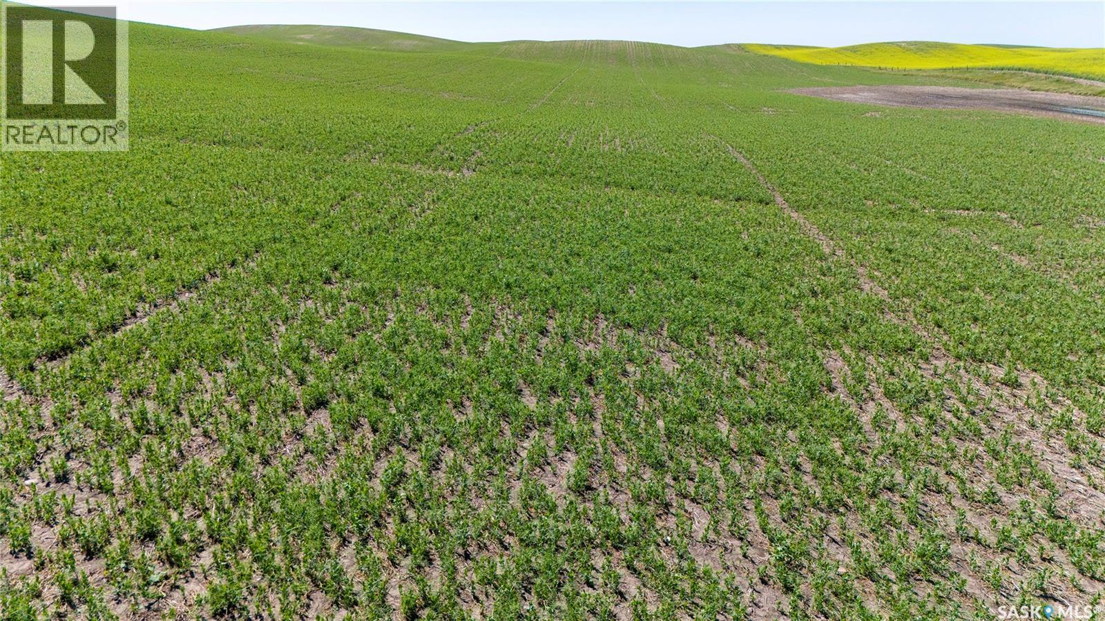 7 Quarters Grainland Near Coderre (Strieb), Sutton Rm No. 103, Saskatchewan  S0H 0A5 - Photo 13 - SK043546