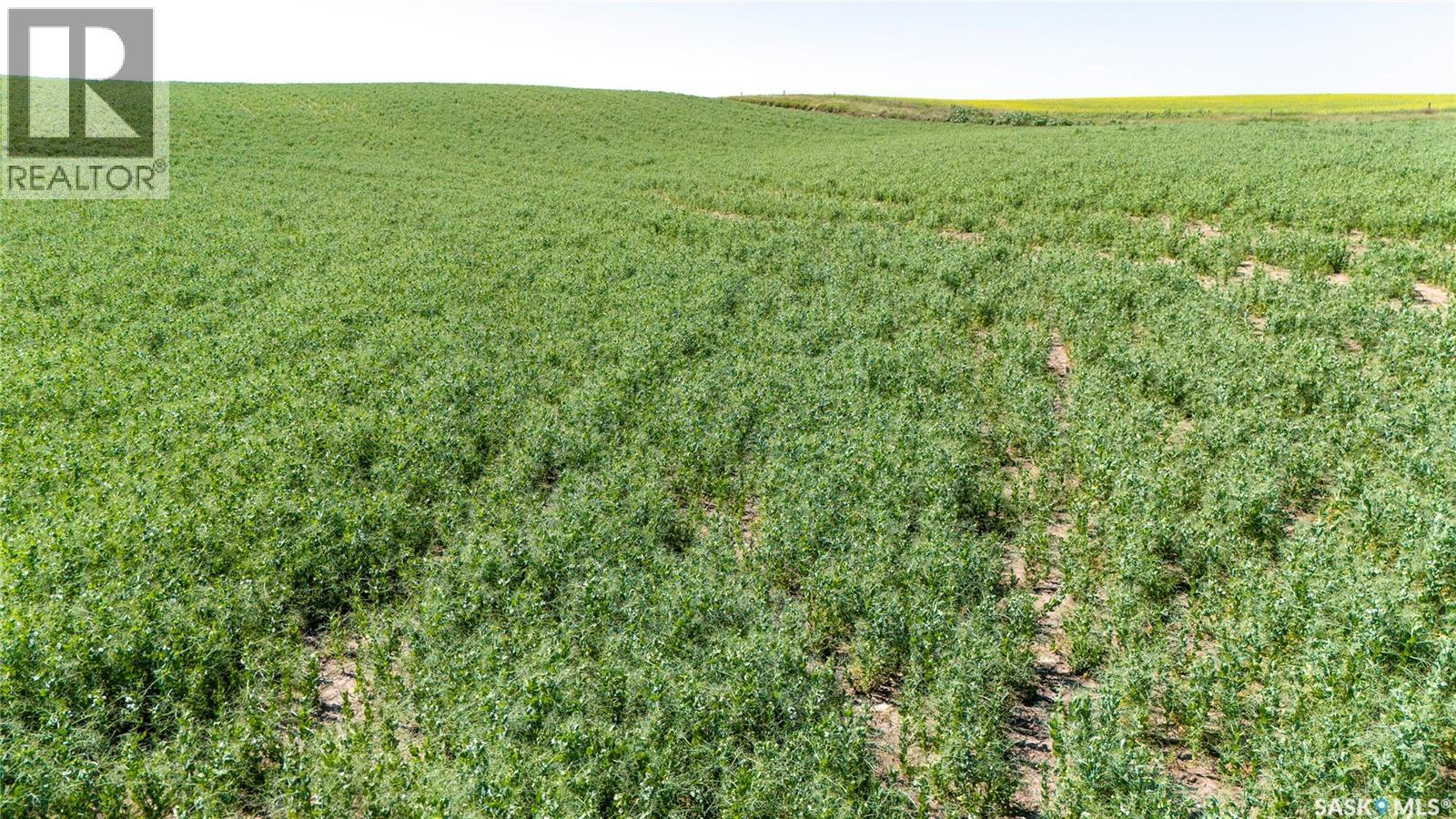 7 Quarters Grainland Near Coderre (Strieb), Sutton Rm No. 103, Saskatchewan  S0H 0A5 - Photo 4 - SK043546