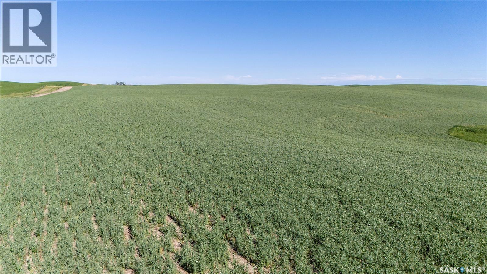 7 Quarters Grainland Near Coderre (Strieb), Sutton Rm No. 103, Saskatchewan  S0H 0A5 - Photo 8 - SK043546