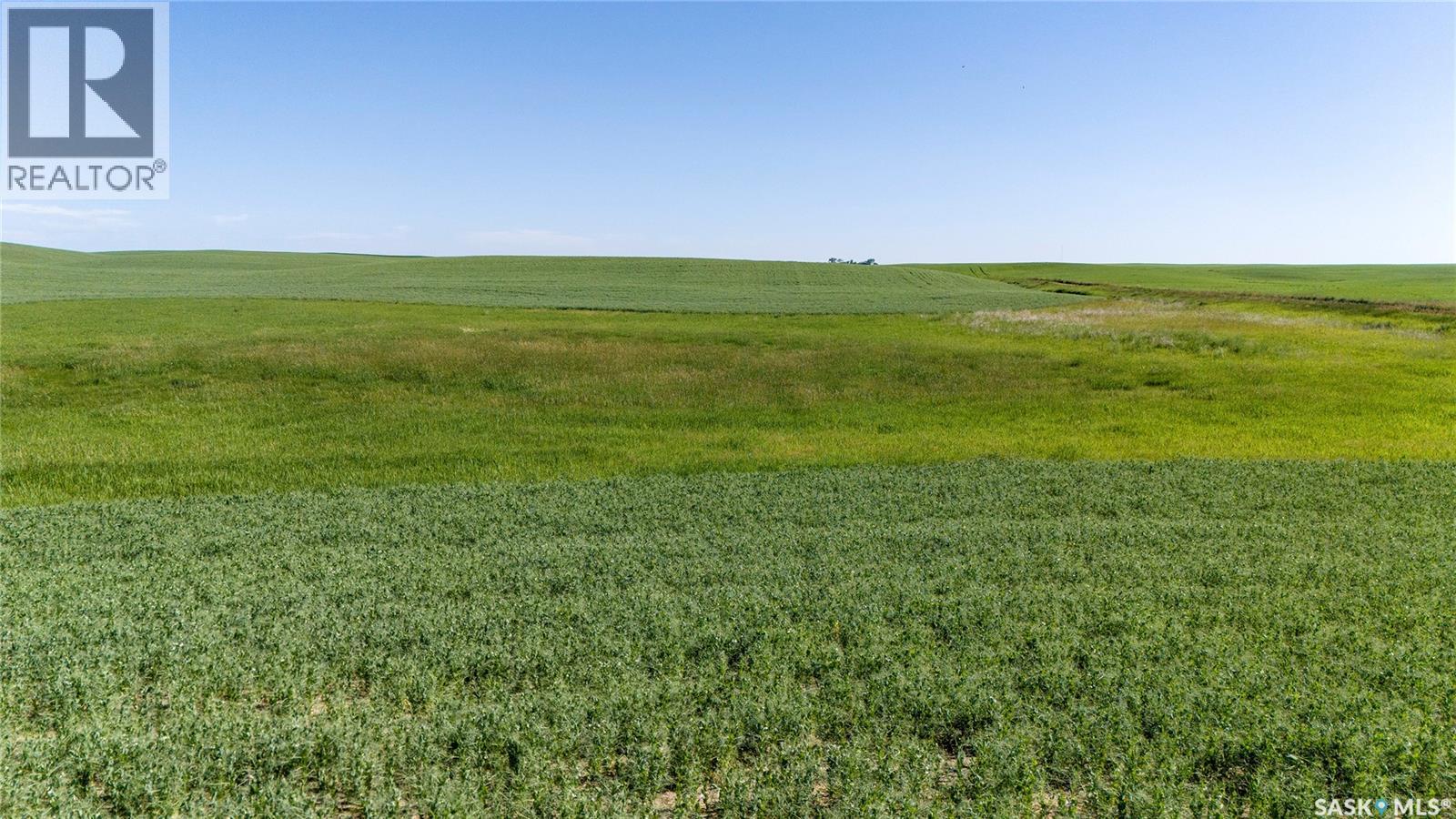 7 Quarters Grainland Near Coderre (Strieb), Sutton Rm No. 103, Saskatchewan  S0H 0A5 - Photo 9 - SK043546