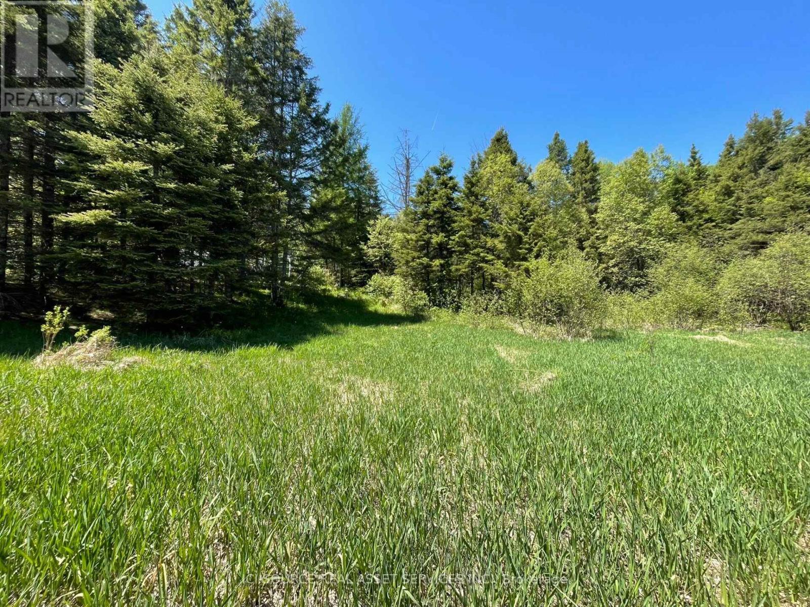 4 - 93 Rye Road, Parry Sound Remote Area, Ontario  P0A 1X0 - Photo 12 - X13603394
