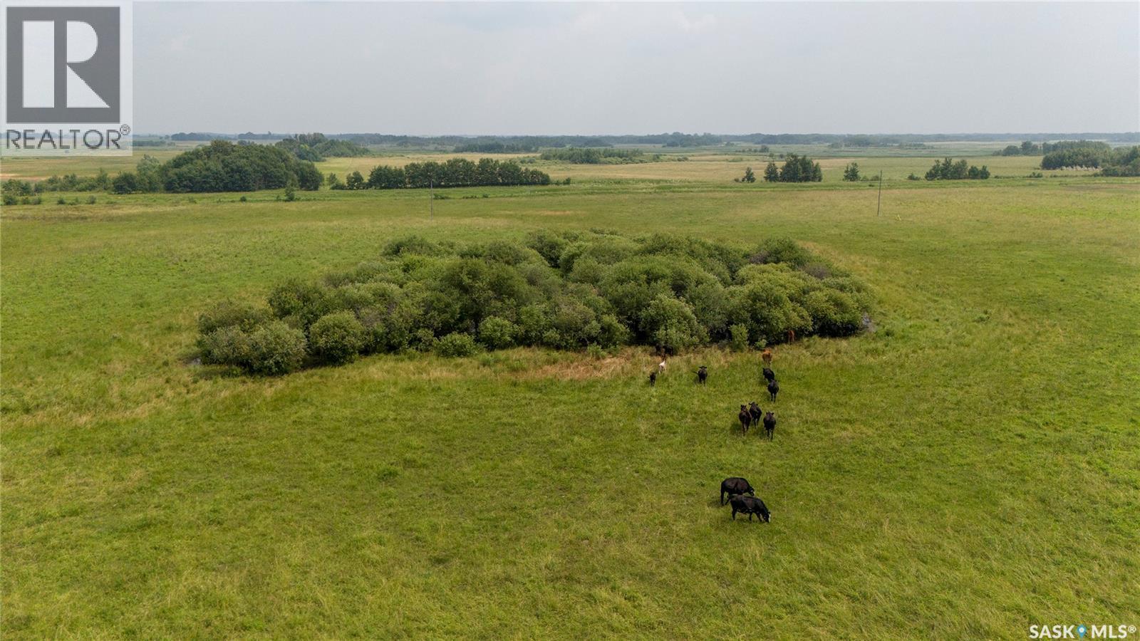 8 Quarters & Yard Site Near Yorkton (Buckingham), Saltcoats Rm No. 213, Saskatchewan  S0A 3J0 - Photo 4 - SK029585