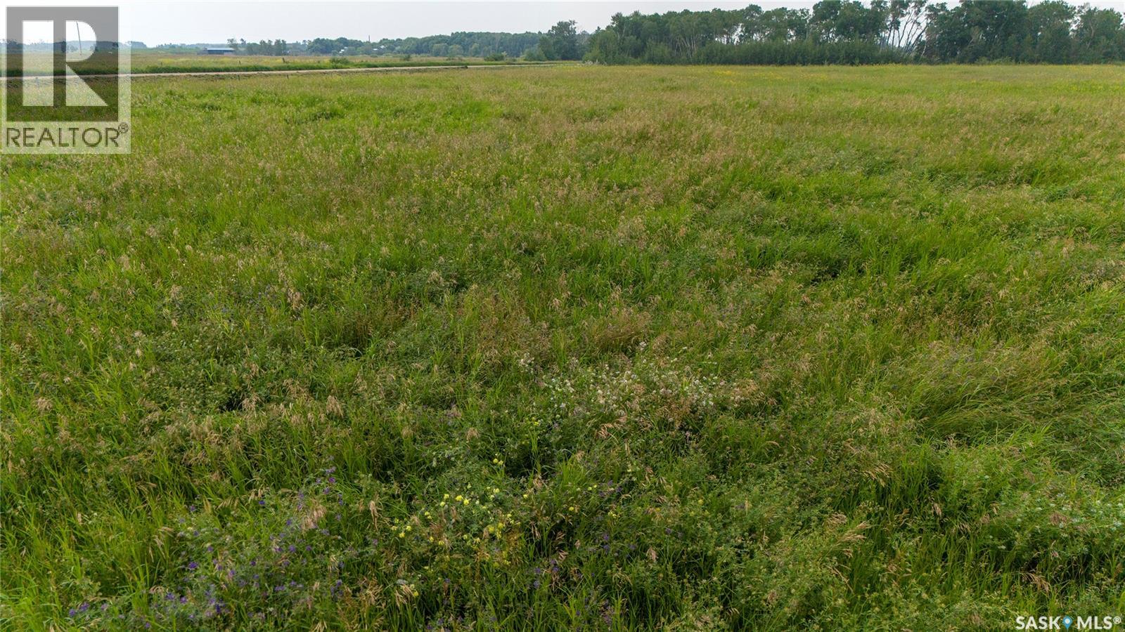 8 Quarters & Yard Site Near Yorkton (Buckingham), Saltcoats Rm No. 213, Saskatchewan  S0A 3J0 - Photo 14 - SK029585