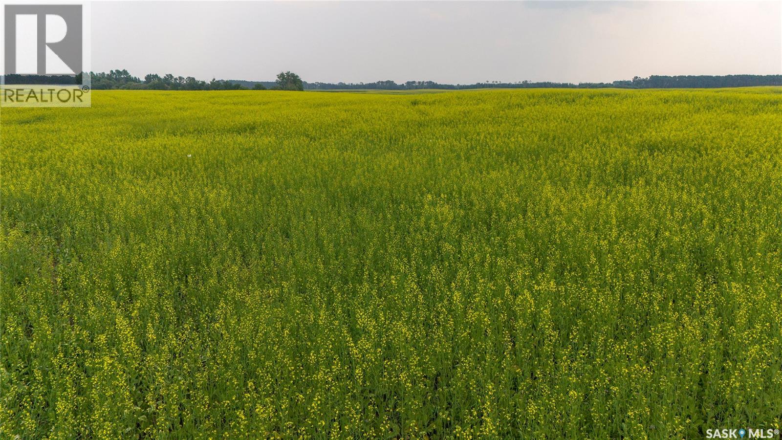 8 Quarters & Yard Site Near Yorkton (Buckingham), Saltcoats Rm No. 213, Saskatchewan  S0A 3J0 - Photo 2 - SK029585