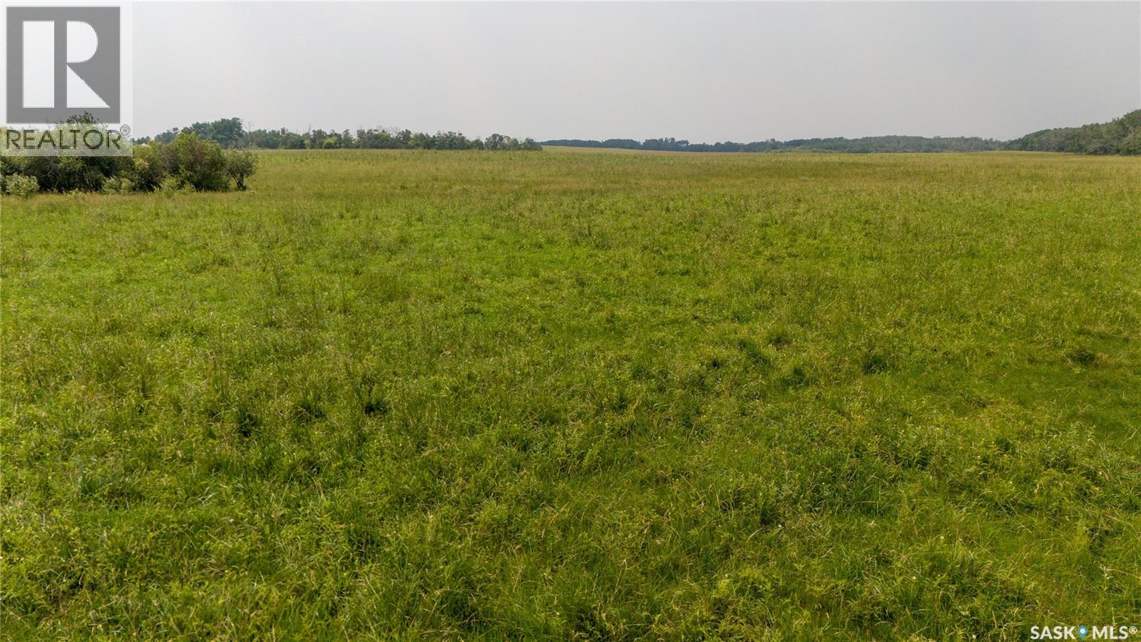 8 Quarters & Yard Site Near Yorkton (Buckingham), Saltcoats Rm No. 213, Saskatchewan  S0A 3J0 - Photo 5 - SK029585