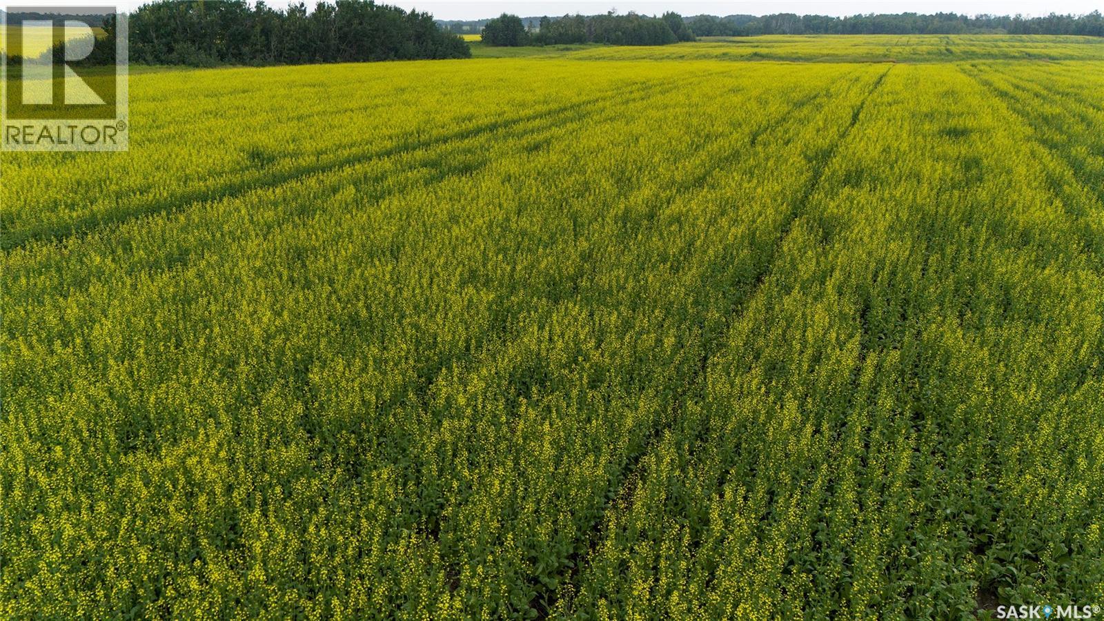8 Quarters & Yard Site Near Yorkton (Buckingham), Saltcoats Rm No. 213, Saskatchewan  S0A 3J0 - Photo 11 - SK029585